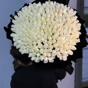 Elegance in Black & White