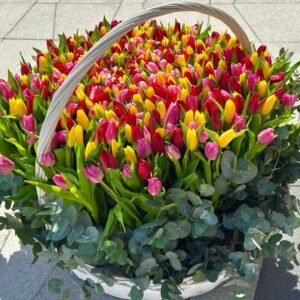 Blooming Basket of Tulips