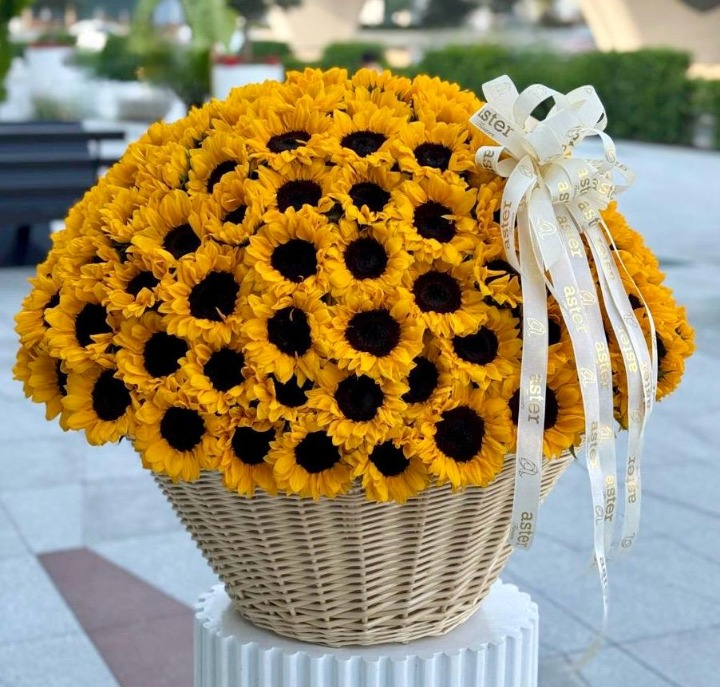 Sunshine in a Basket