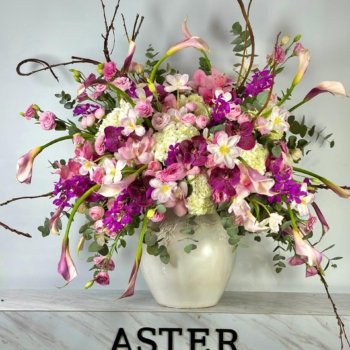 Purple Haze & Pink Grace